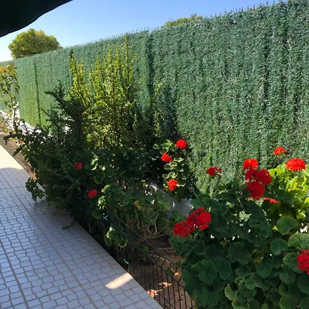 ベッド・アンド・ブレックファスト Patio Camaleonico Al -